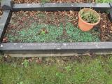 image of grave number 465932